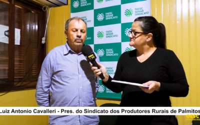 Entrevista com Luiz Antônio Cavalleri, Presidente do Sindicato dos Produtores Rurais de Palmitos.