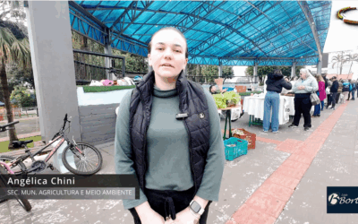 Feira Livre de Palmitos Celebra 51ª Edição com Sucesso e Novos Expositores