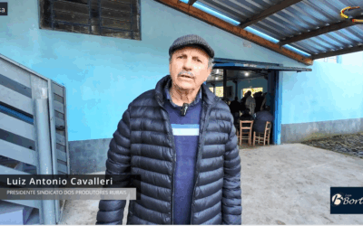 Tradição e Genética de Ponta Marcam o 58º Leilão de Gado de Palmitos