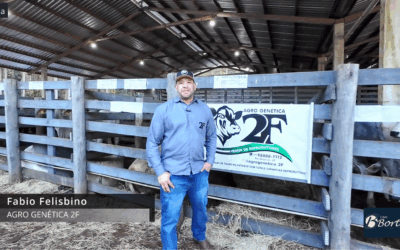 Agro Genética 2F Marca Presença na 38ª Feira de Reprodutores de Palmitos com Genética de Ponta