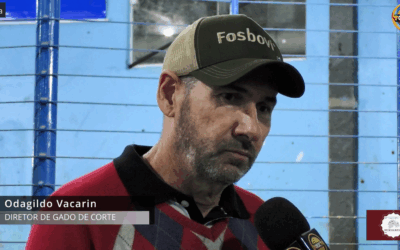 58º Remate de Gado em Palmitos Supera Expectativas e Fortalece o Setor