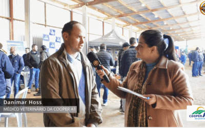 EFICIÊNCIA NA PECUÁRIA DE CORTE: O OLHAR DE DANIMAR HOSS NO DIA DE NEGÓCIOS DA COOPER A1