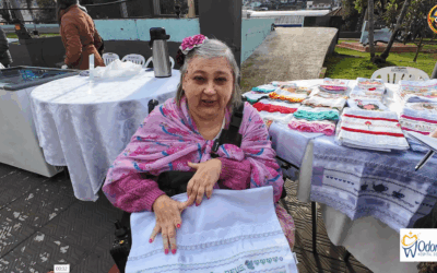 Artesanato que Aquece o Coração na Feira de Palmitos