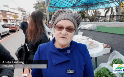 Feira Livre em Palmitos: Tradição e Sabor na Praça Carlos Culmey