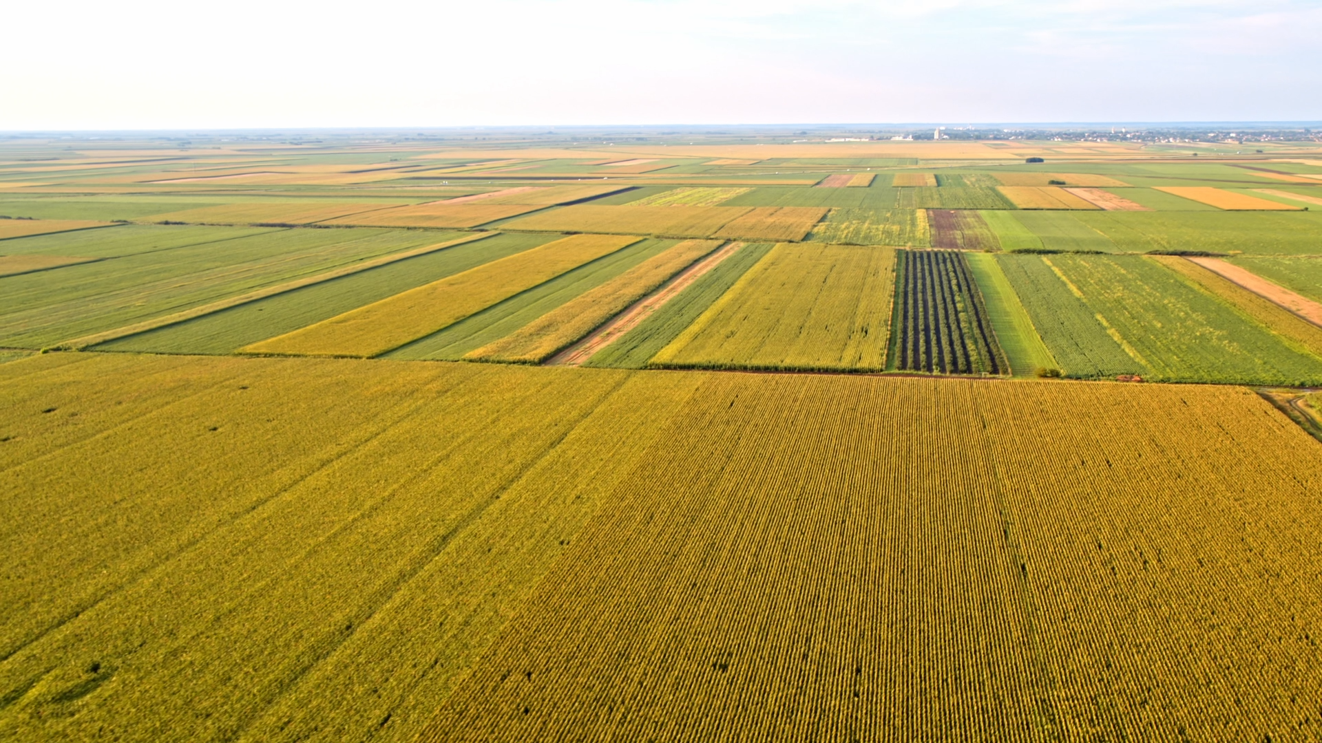 10 – MOMENTO AGRO Setembro de Alerta Preços da Soja Caem e Produtor Brasileiro Tira o Pé do Acelerador