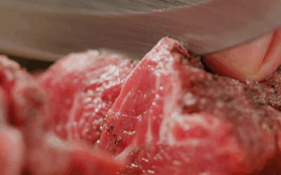 Exportações de Carne do Brasil Surpreendem e Crescem Mais de 50%, Superando Tarifas dos EUA