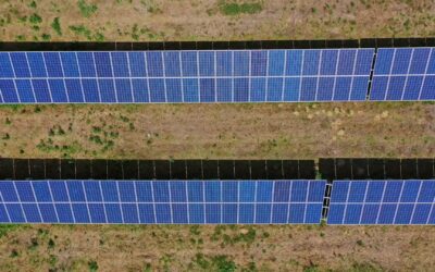 Agro é responsável por quase 30% da energia nacional e domina matriz renovável