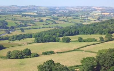 Agronegócio de Santa Catarina bate recordes e reforça protagonismo nacional
