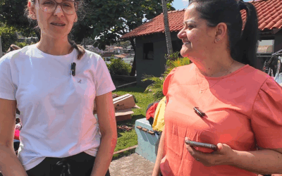 Voluntários se Unem pela Causa Animal e Promovem Brechó em Palmitos