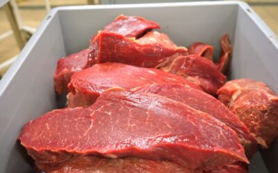 Exportações de carnes de Santa Catarina batem recorde histórico de receita em setembro