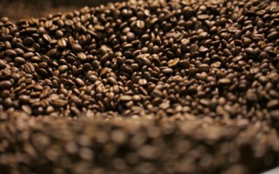 Estoques baixos sustentam alta no preço do café arábica, mas clima no Brasil traz otimismo