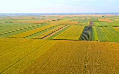 Cana-de-açúcar e laranja ganham novas fronteiras produtivas no Brasil.