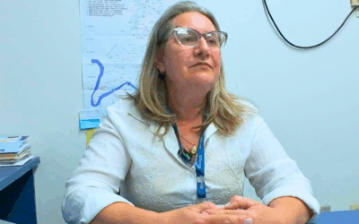 Divino Natal em Palmitos: Programação Completa é Anunciada