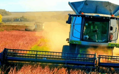 Brasil mantém competitividade na soja apesar de acordo da China com os Estados Unidos