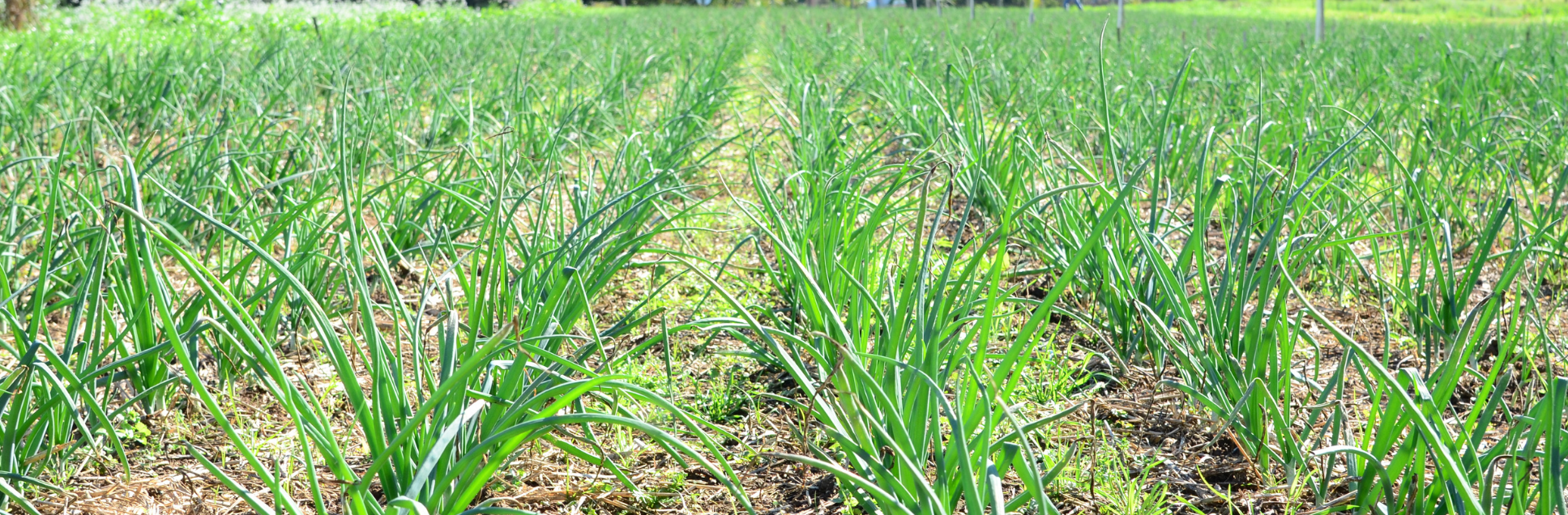 FOTOS PÁGINA INICIAL SITE