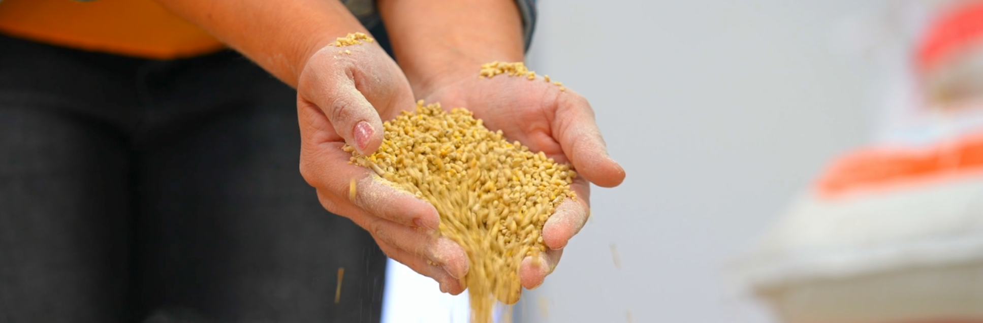 FOTOS PÁGINA INICIAL SITE