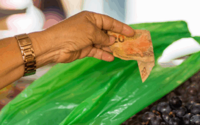 Santa Catarina tem a menor taxa de pobreza e extrema pobreza do Brasil