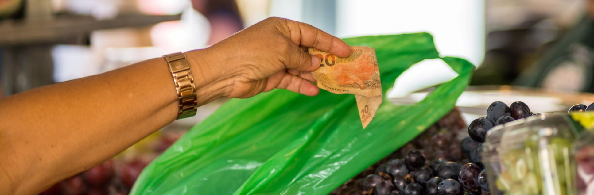 FOTOS PÁGINA INICIAL SITE