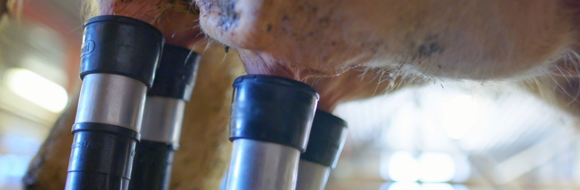 FOTOS PÁGINA INICIAL SITE