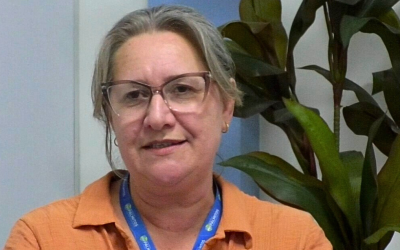 Divino Natal: Palmitos prepara programação especial com shows e atrações culturais