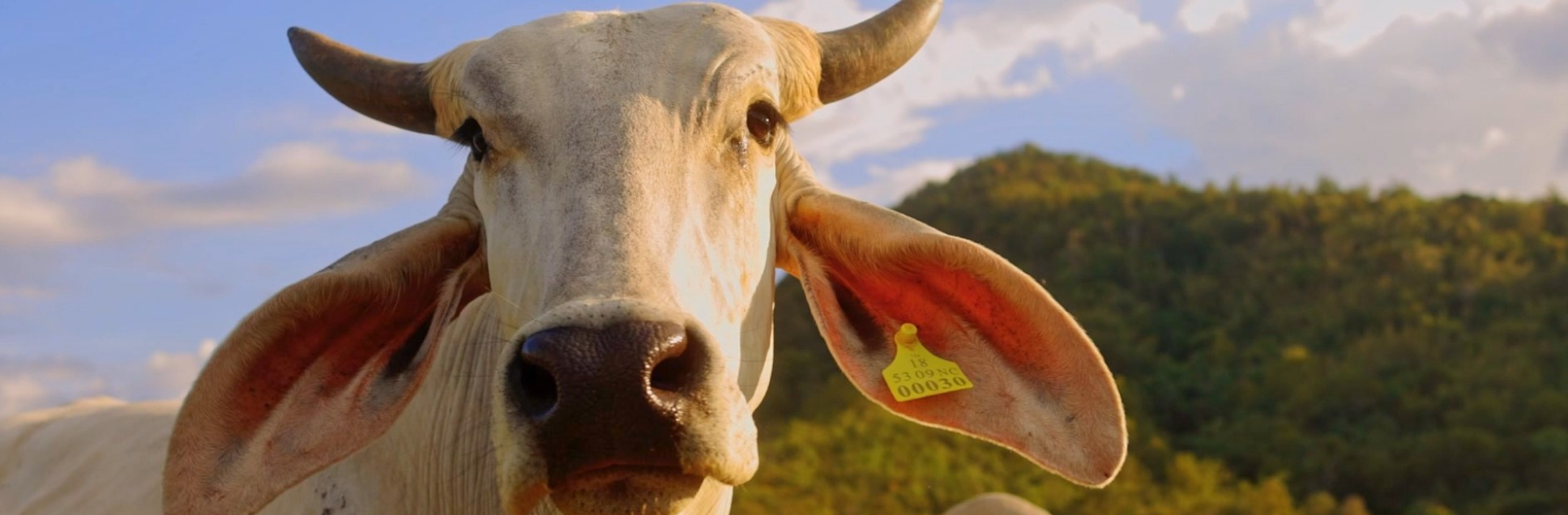 FOTOS PÁGINA INICIAL SITE