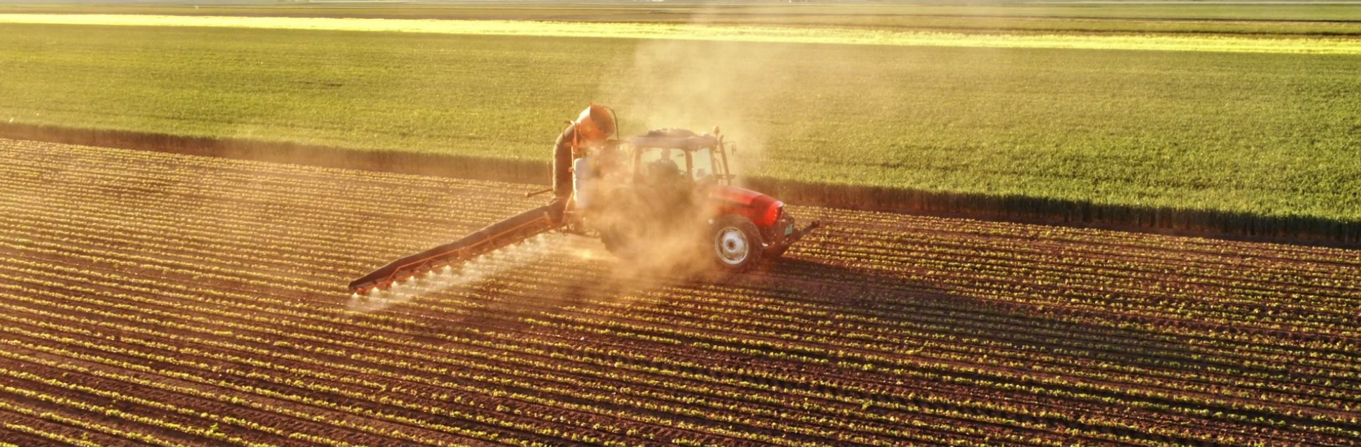 FOTOS PÁGINA INICIAL SITE