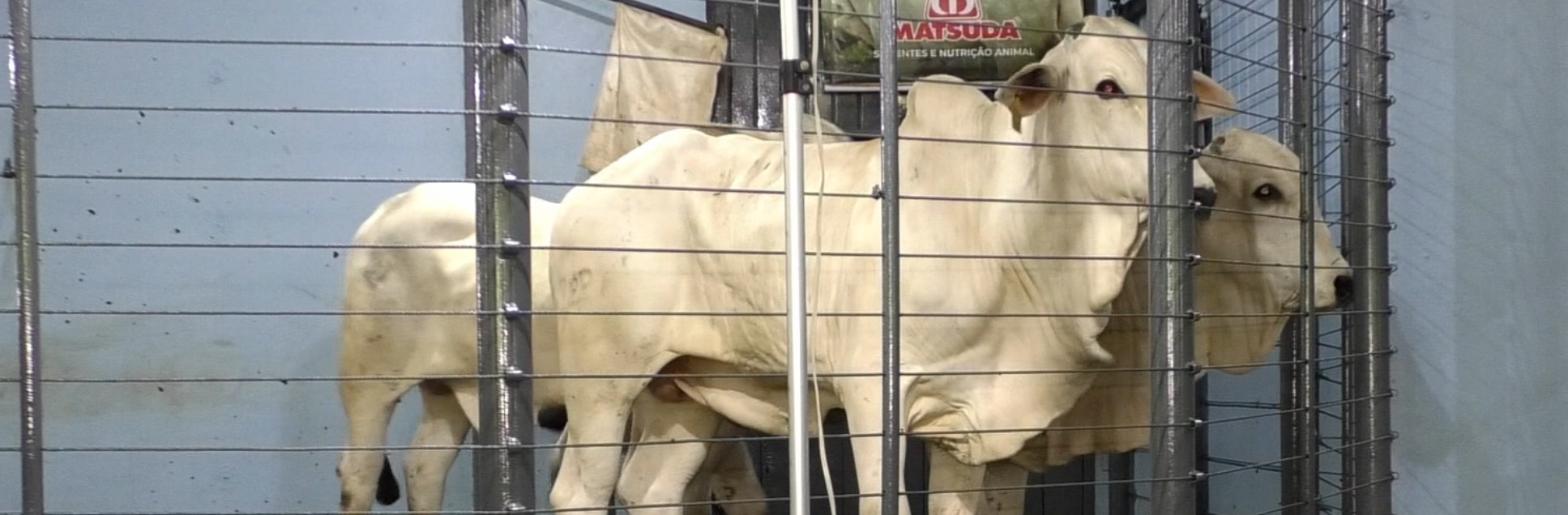 FOTOS PÁGINA INICIAL SITE