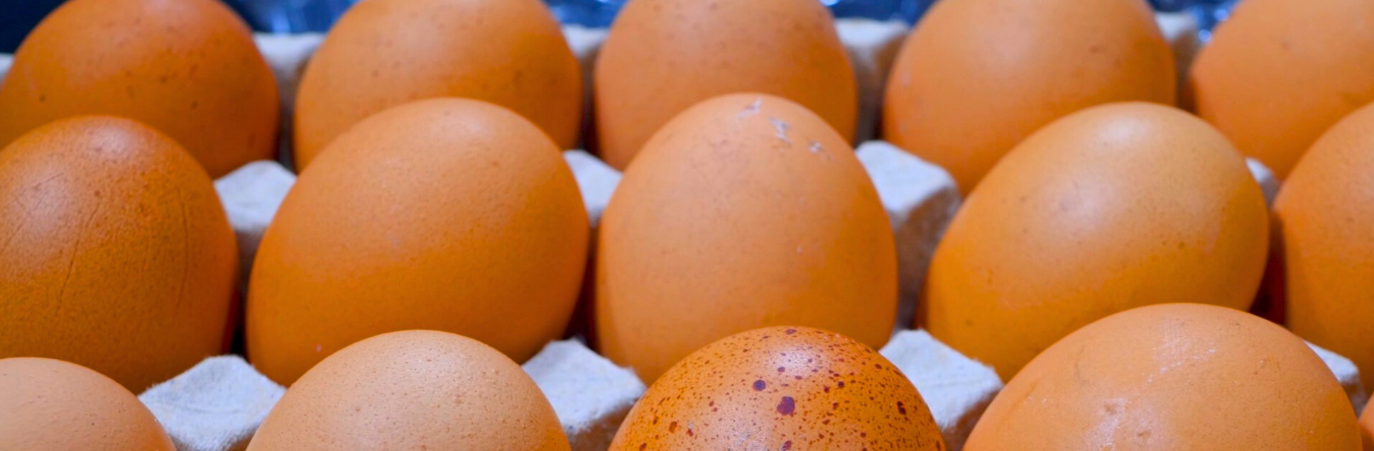 FOTOS PÁGINA INICIAL SITE