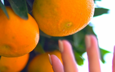 Acordo comercial entre Mercosul e União Europeia deve gerar economia bilionária para exportadores de suco de laranja