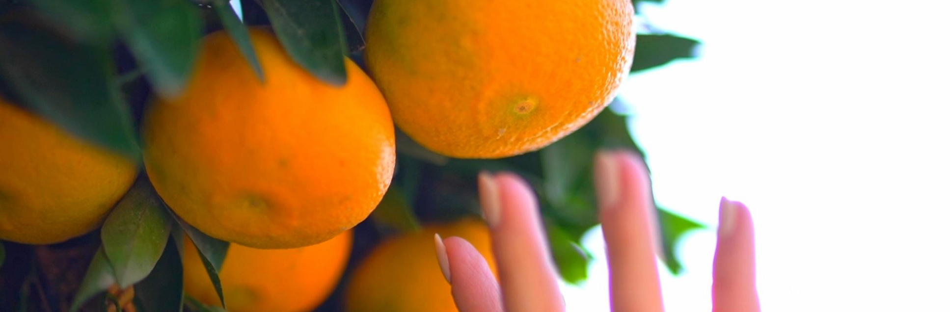 FOTOS PÁGINA INICIAL SITE