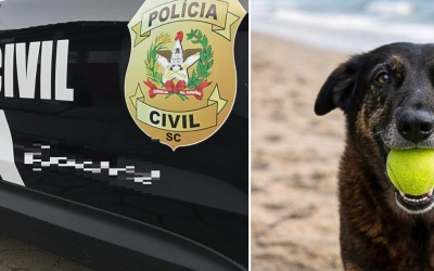 Polícia Civil de Santa Catarina cumpre mandados em investigação de maus-tratos contra o cão Orelha