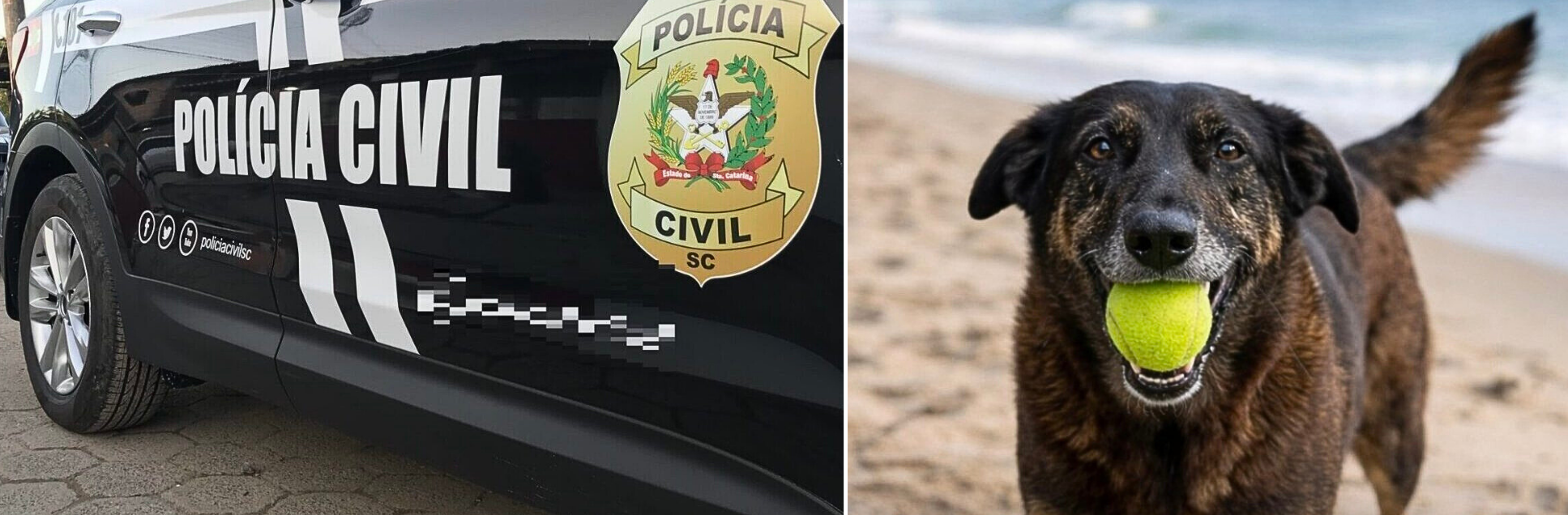 FOTOS PÁGINA INICIAL SITE