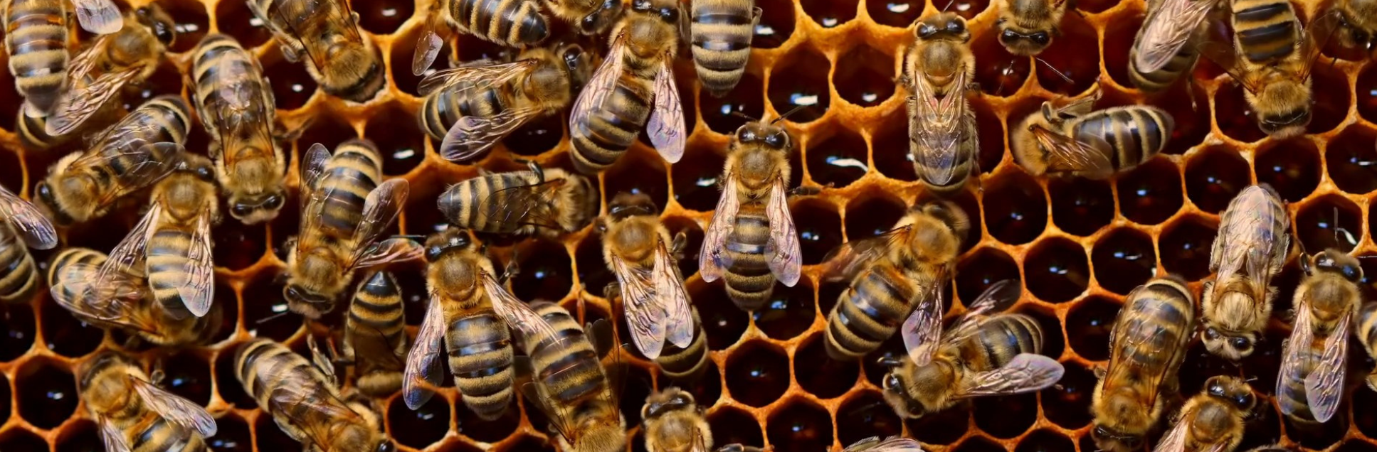 FOTOS PÁGINA INICIAL SITE