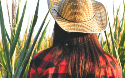 Irã, Groenlândia e Venezuela: Como essas tensões impactam o agro do Brasil