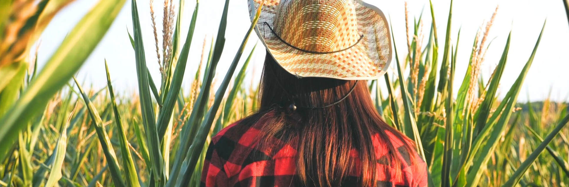 FOTOS PÁGINA INICIAL SITE