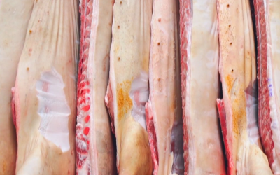 Exportação de carne suína crescem quase 12% em 2025 e faturam US$ 3,6 bilhões