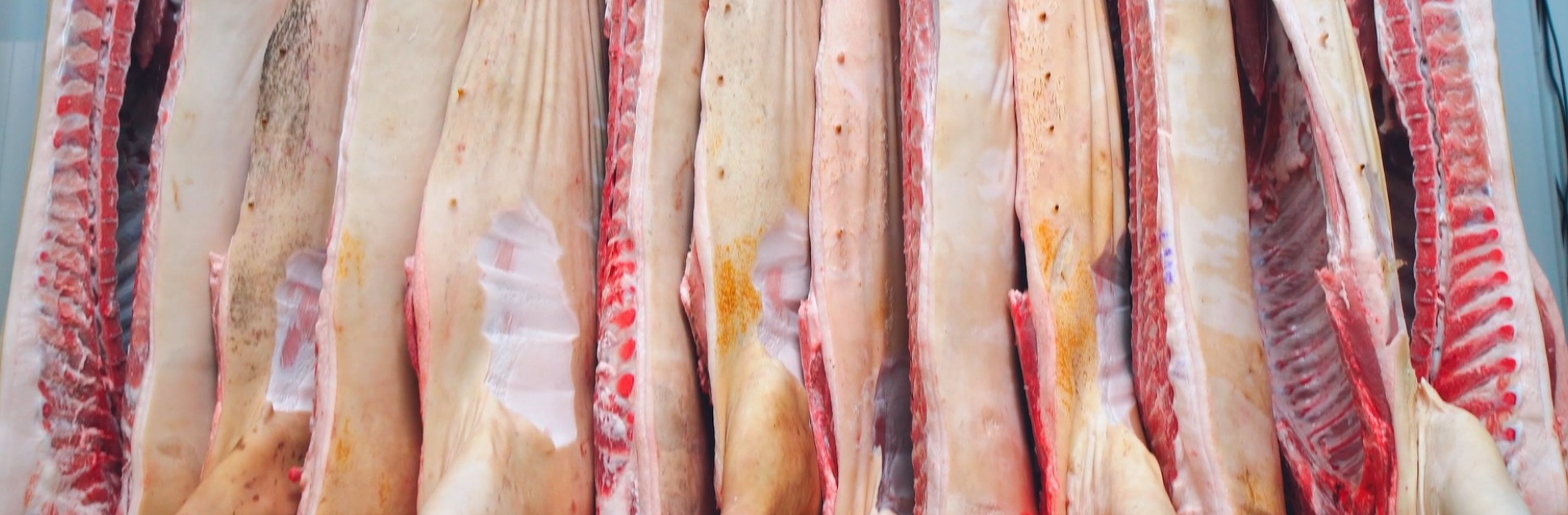 FOTOS PÁGINA INICIAL SITE