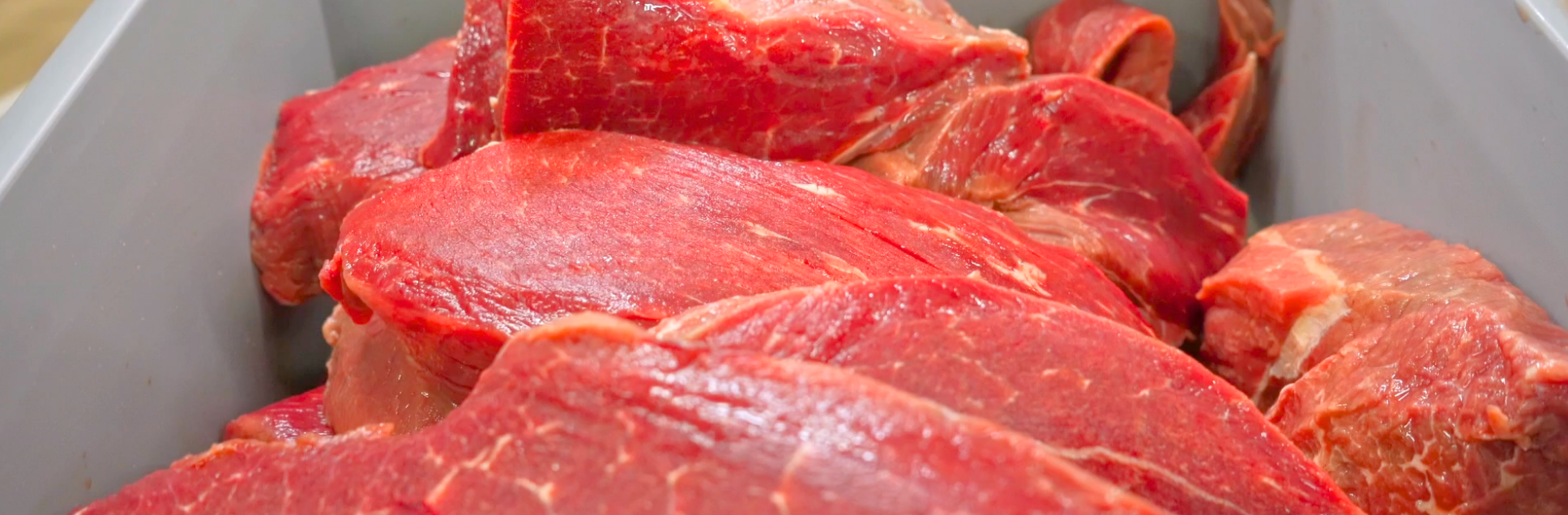 FOTOS PÁGINA INICIAL SITE