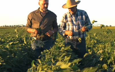 Comercialização da safra de soja segue lenta e abaixo da média histórica no Brasil