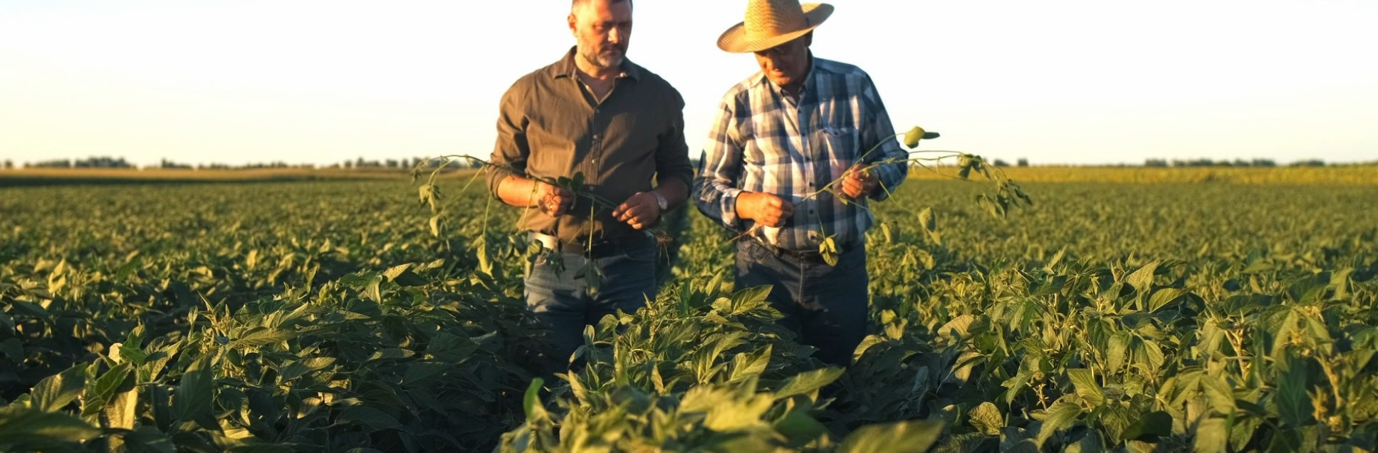 1 FOTOS PÁGINA INICIAL SITE