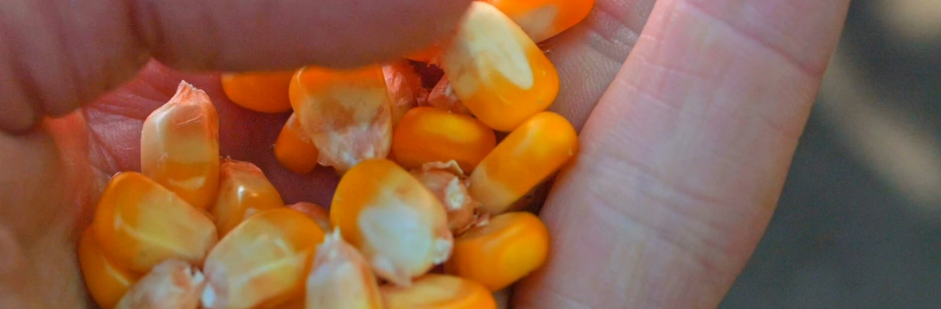 FOTOS PÁGINA INICIAL SITE