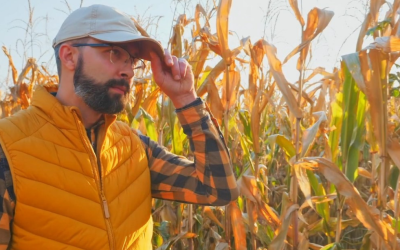 Agronegócio atinge novo recorde de empregos e supera crescimento da média nacional