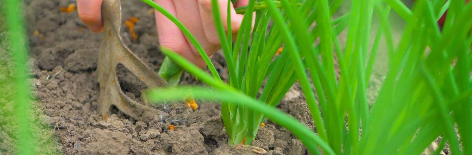 FOTOS PÁGINA INICIAL SITE