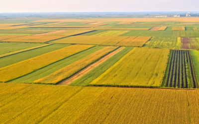 Agronegócio inicia 2026 com alta nos fretes, disparada no preço do feijão e faturamento superior no café