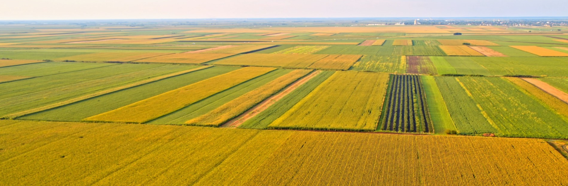 FOTOS PÁGINA INICIAL SITE