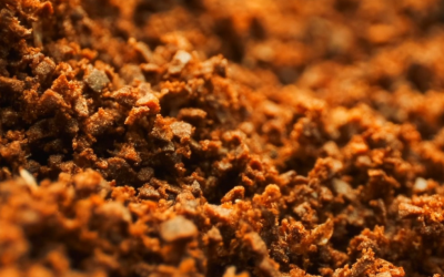 Preço do café acumula alta superior a 40% em um ano e legumes lideram encarecimento no Sudeste