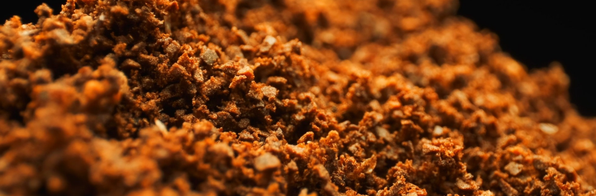 FOTOS PÁGINA INICIAL SITE