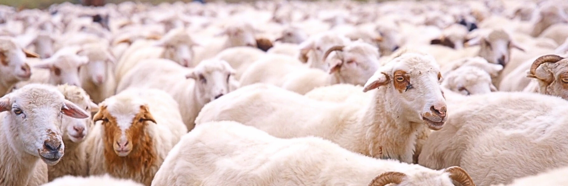 FOTOS PÁGINA INICIAL SITE