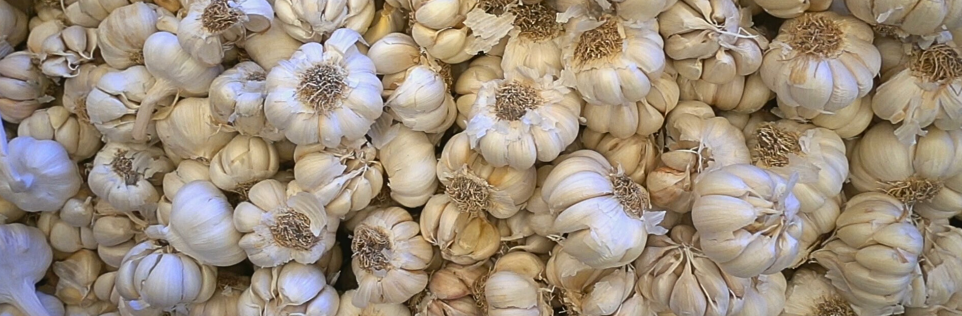 FOTOS PÁGINA INICIAL SITE