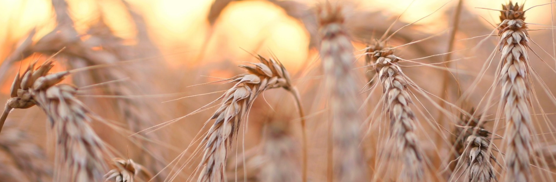 FOTOS PÁGINA INICIAL SITE